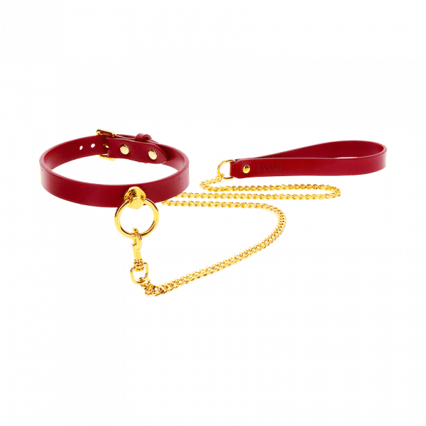 O-Ring Collar and Chain Leash